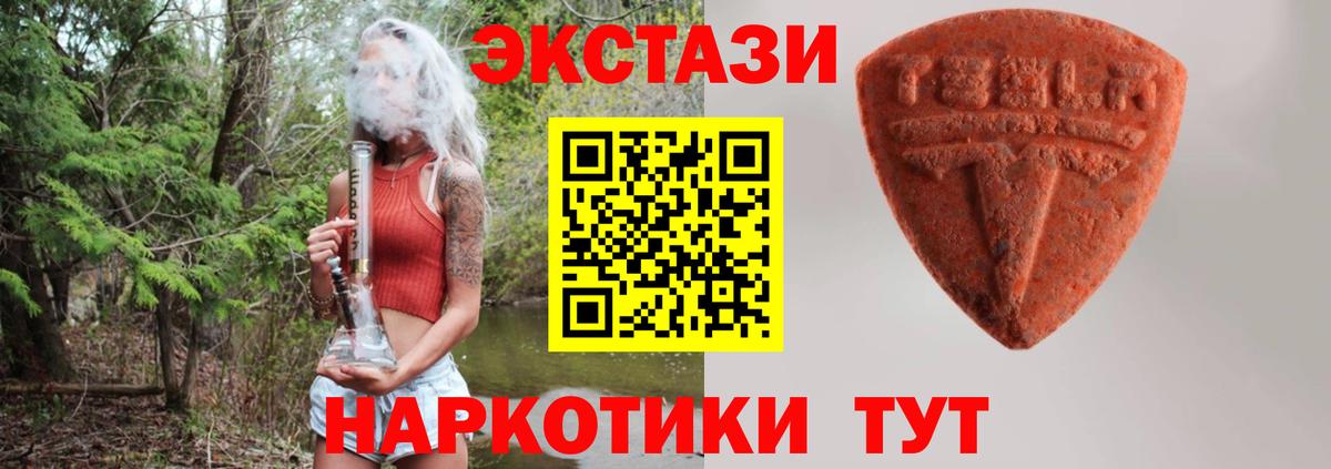 Ecstasy Philipp Plein Томск