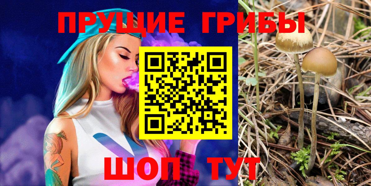 Томск  Псилоцибиновые грибы Magic Shrooms  Псилоцибиновые грибы MAGIC MUSHROOMS  Вход с VPN 