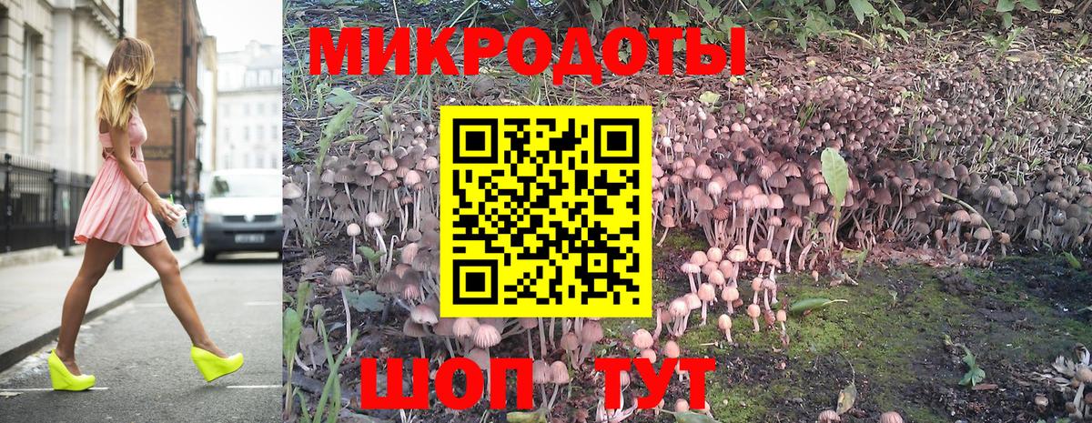 Псилоцибиновые грибы прущие грибы Томск